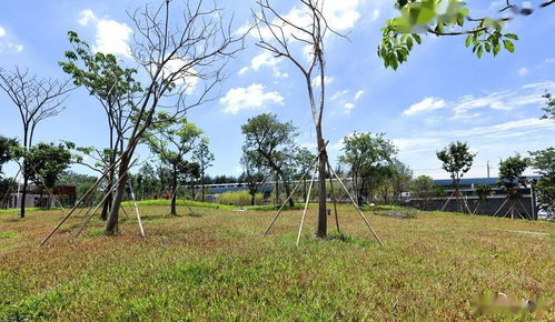 園林綠化工程施工的 三控 措施