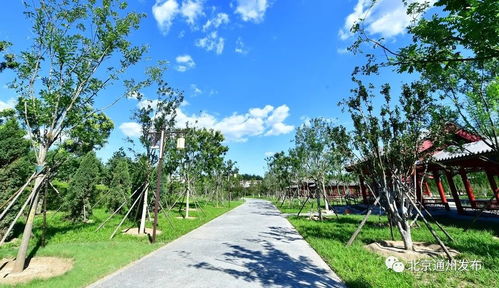 通州又一大公園正式開園 美不勝收,燕郊小伙伴快去打卡