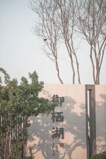 佛山地區專業承包園林綠化設計施工 花園養護工程 別墅設計施工