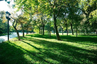 初到深圳的你,請收下這100條生活建議