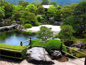 園林綠化工程 懋懋花卉品質優 邯鄲園林綠化