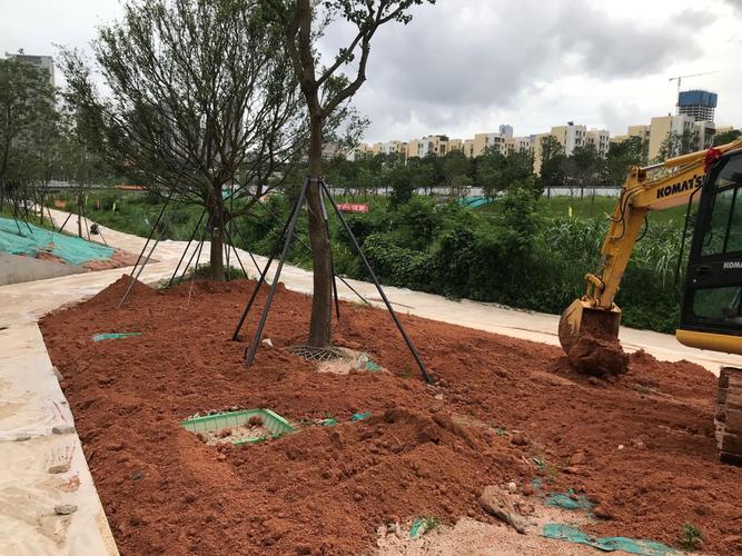 【國藝園林】大沙河生態長廊景觀項目綠化工程ii標 - 美篇