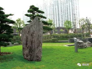 園林綠化工程施工技術規范大全 萬字長文