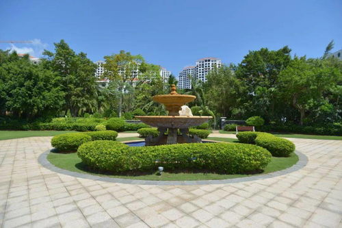 園林干貨 綠化施工全流程解析