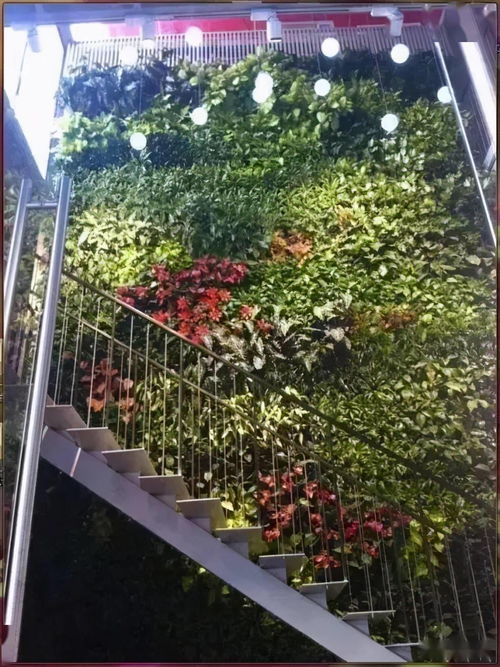 園林工程中的6種垂直綠化形式及其施工要點(diǎn)