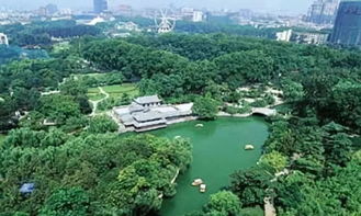 風(fēng)景園林綠化施工管理及養(yǎng)護(hù)技術(shù)