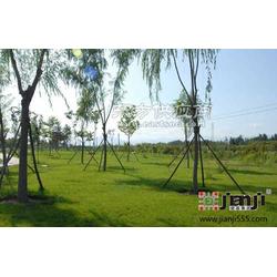 園林綠化工程施工及苗木移植工程承接指南